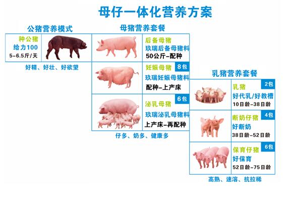 MS - 美狮贵宾会·官方(中国)
