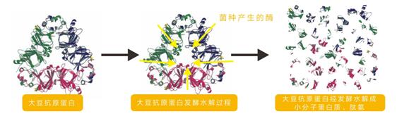 MS - 美狮贵宾会·官方(中国)