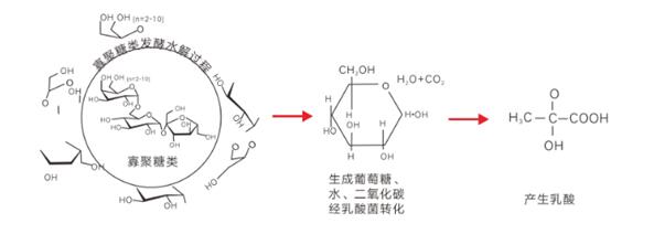 MS - 美狮贵宾会·官方(中国)